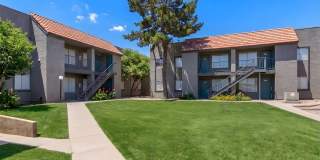 Apex on Central Gallery 9