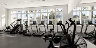 Vinoy St Johns Gallery 7