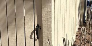 9324 GRAZING TER Gallery 30