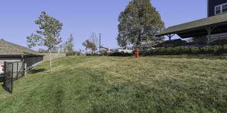 Village West Gallery 29
