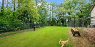 The Harrison Gallery 33