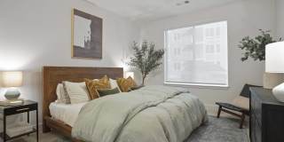 Alana Apartments Gallery 7