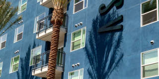 Aston at Gateway Gallery 12