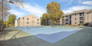 Harmony on Main Gallery 30