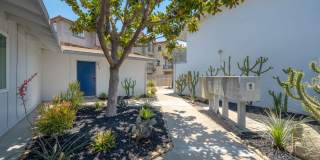 263 N. Chorro Gallery 5