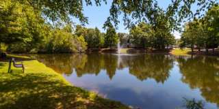 Lakeside Villas Lakeside Villas Gallery 35