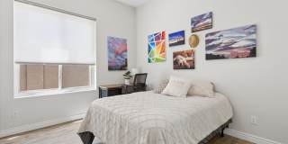 26455 N 115th Street Gallery 25