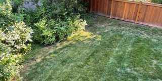 6915 BONHEIM CT Gallery 37