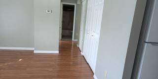 1408 Summertree Springs Avenue Gallery 3