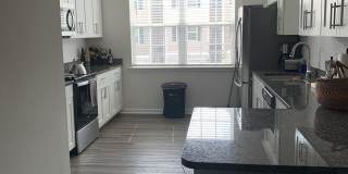 5019 Jayden Dr Gallery 5