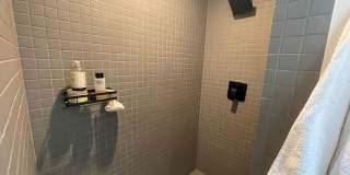 The Kensington at 516 Orange St! Gallery 204