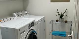 8807 WHITE SAGE LOOP Gallery 19