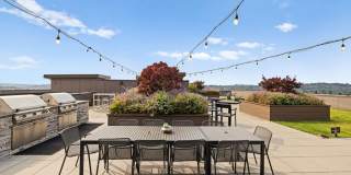 Ballard Public Gallery 70