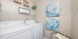 Banyan Bay Gallery 17