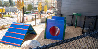 Morado Bothell Gallery 37