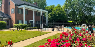 Littlestone Apartments Gallery 14