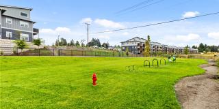 Verda Crossing Gallery 15