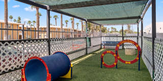 Crosstown Phoenix East Gallery 24