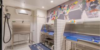 The Alder Gallery 35