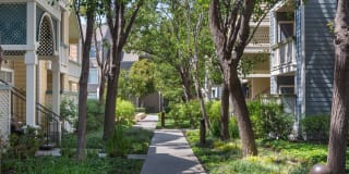 Woodland Meadow Gallery 10