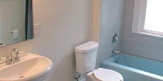 4 Bedroom North Campus Newly Remodeled House with 2 Decks and Patio Gallery 4