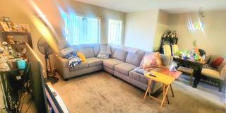 310 Knotty Pine Circle Gallery 5