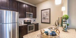 Century Palm Bluff Gallery 30