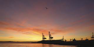 The Landing Gallery 40