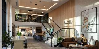 Avelle Gallery 19