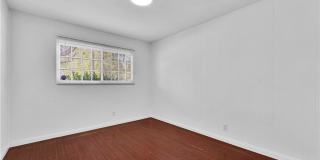 6656 Cleomoore Gallery 21