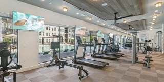 The Hayden Gallery 25