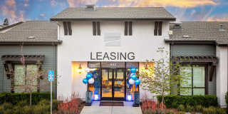 The Strand Gallery 6