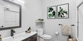 Wyncrest Gallery 24