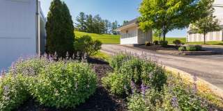 The Trails of Saddlebrook Gallery 96