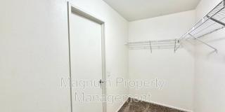 102 Goldenrod Ave Gallery 17