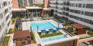 Fellow at Fitz Gallery 9