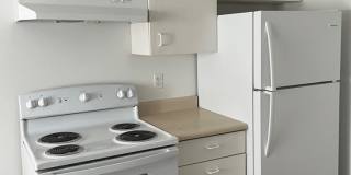 Pioneer Park Gallery 1