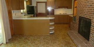 Walk to Campus! Incredible location, amazing space in this sprawling 4br home in downtown Chapel Hill Gallery 8