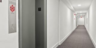 Horizon Gallery 249