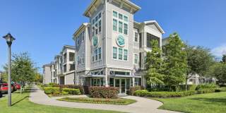 The Lotus at Starkey Ranch Gallery 46