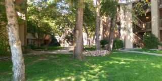 3515 28th St Apt 302 Gallery 1