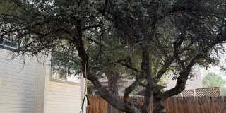 242 West Rosser Street Gallery 3