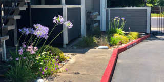 Camino Woods Gallery 15