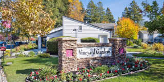 Vineyard Gardens Gallery 1