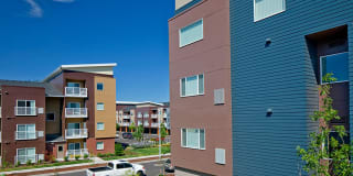 Riverwalk Gallery 24