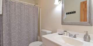 Winter Rental: Wingaerchic (Dog-friendly!) Gallery 32