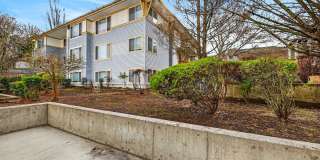 Ivy Ridge Apartments Gallery 20