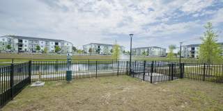 Madison Palms Gallery 24