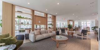 The Driftway Gallery 33