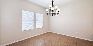 1938 Spotted Owl Gallery 13